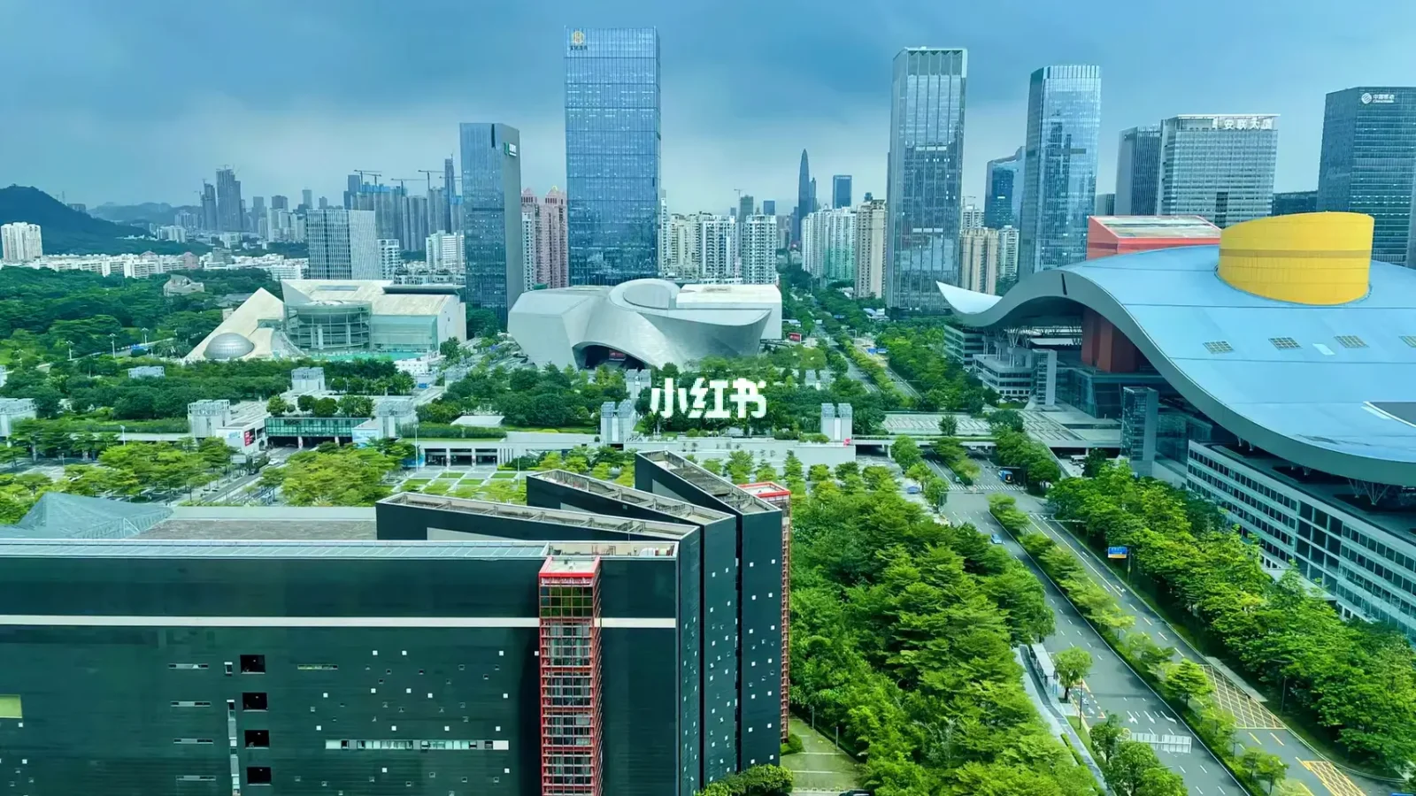 疫情深圳(疫情深圳学校停课时间)