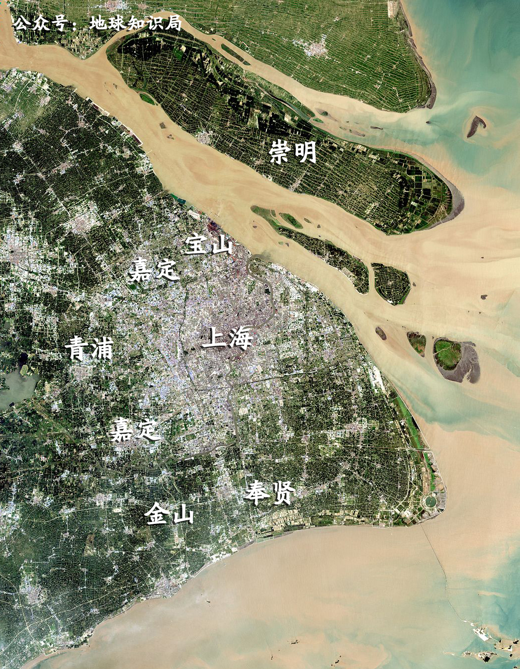 上海到底怎么了(上海为什么会沦陷,没有抵抗吗)