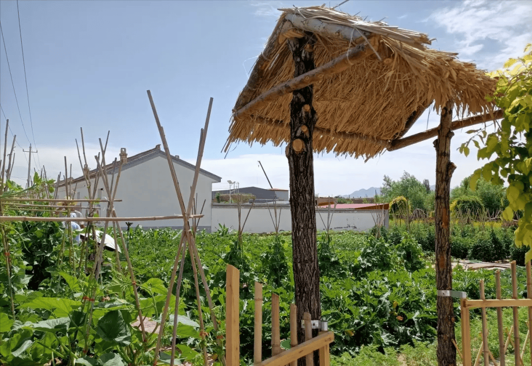 小果庄村(小果庄村是什么民族的)