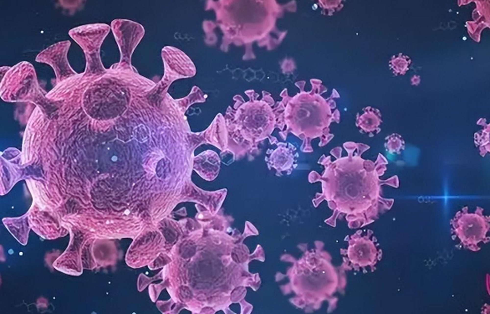 春节会形成群体免疫吗(中国群体免疫何时能形成)