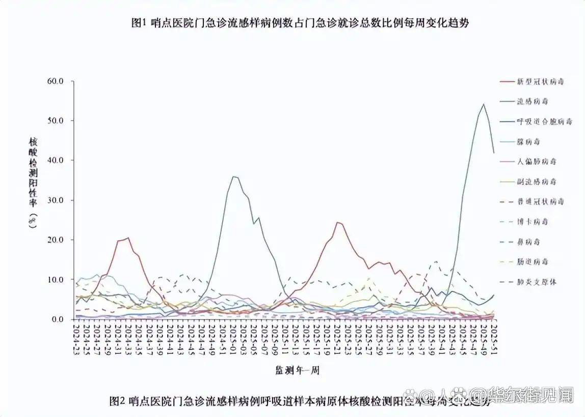 疫情最近数据(今日疫情最新消息)