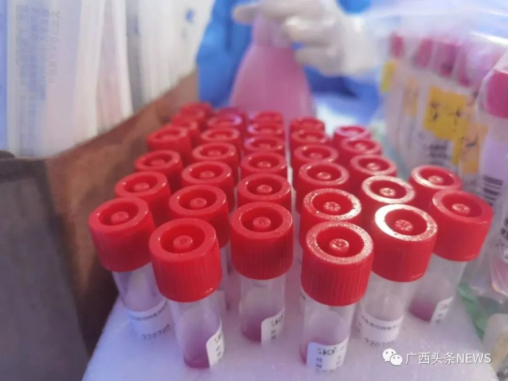 大连43例感染者详情:多人为食堂员工(大连厨师疫情) 大连43例感染者详情:多人为食堂员工(大连厨师疫情)