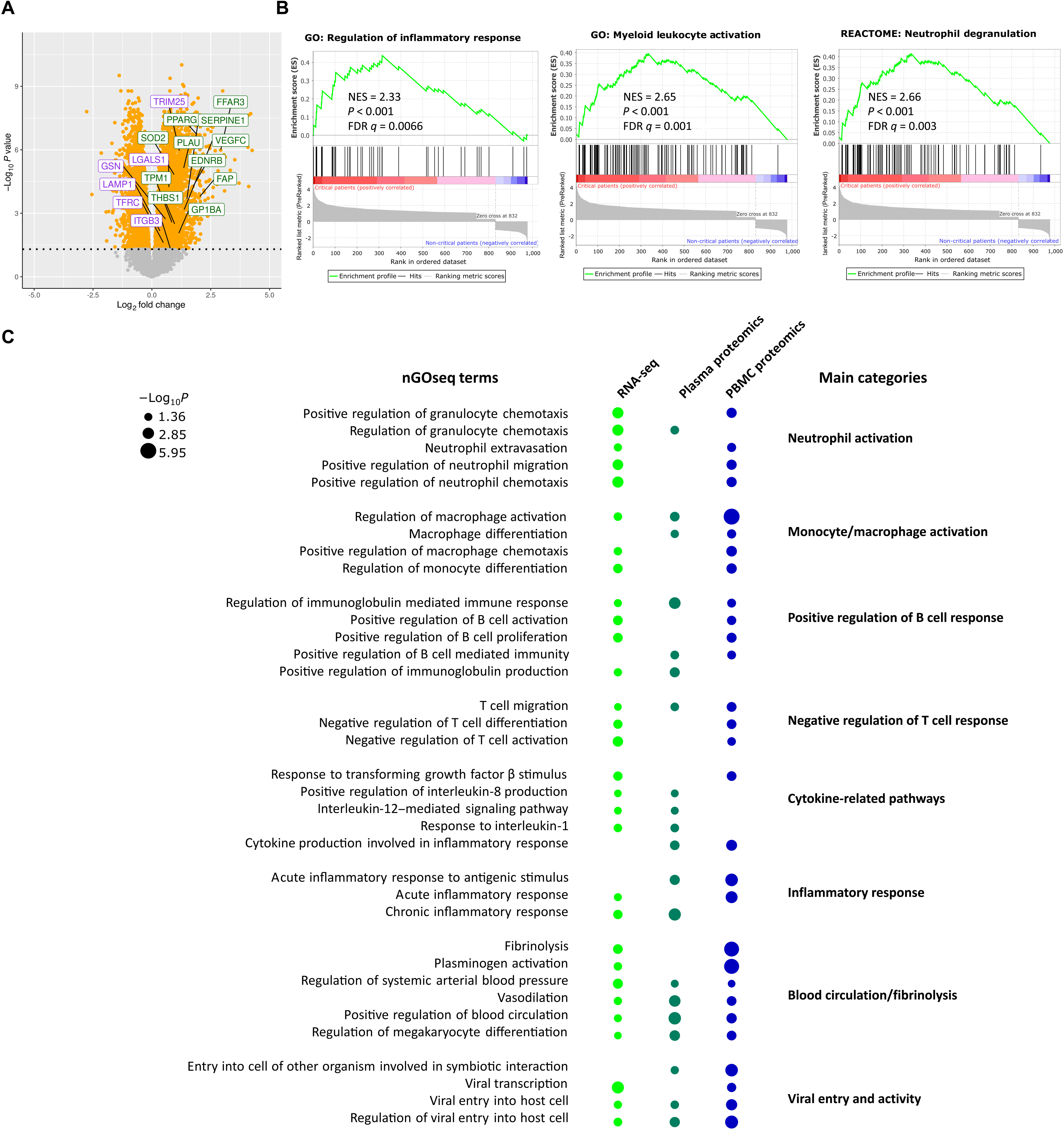 包含新冠溯源重大线索的词条 包含新冠溯源重大线索的词条
