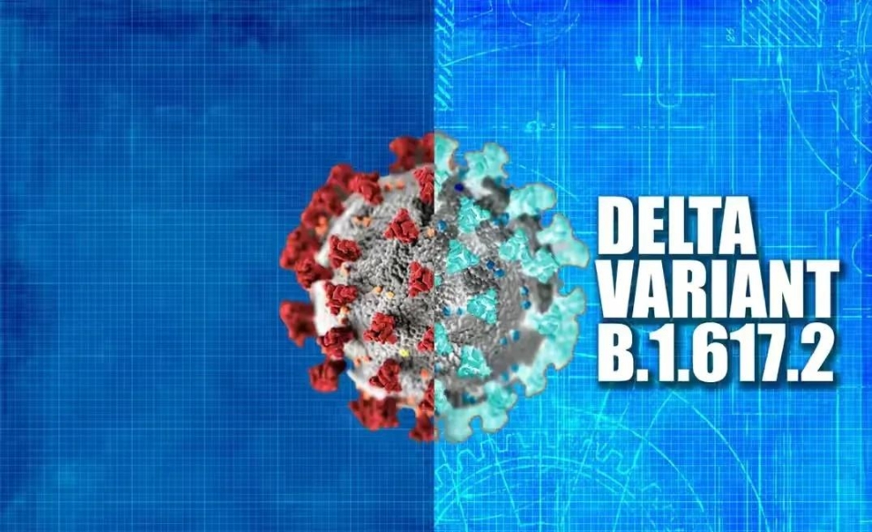 德尔塔完整传播链(德尔塔 传播)