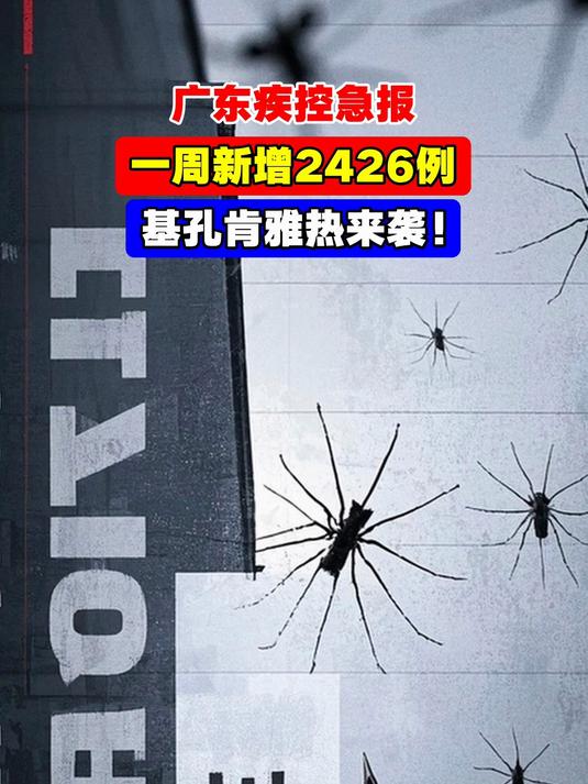 通报:广东新增95例!均为男性(广东新增感染人数) 通报:广东新增95例!均为男性(广东新增感染人数)