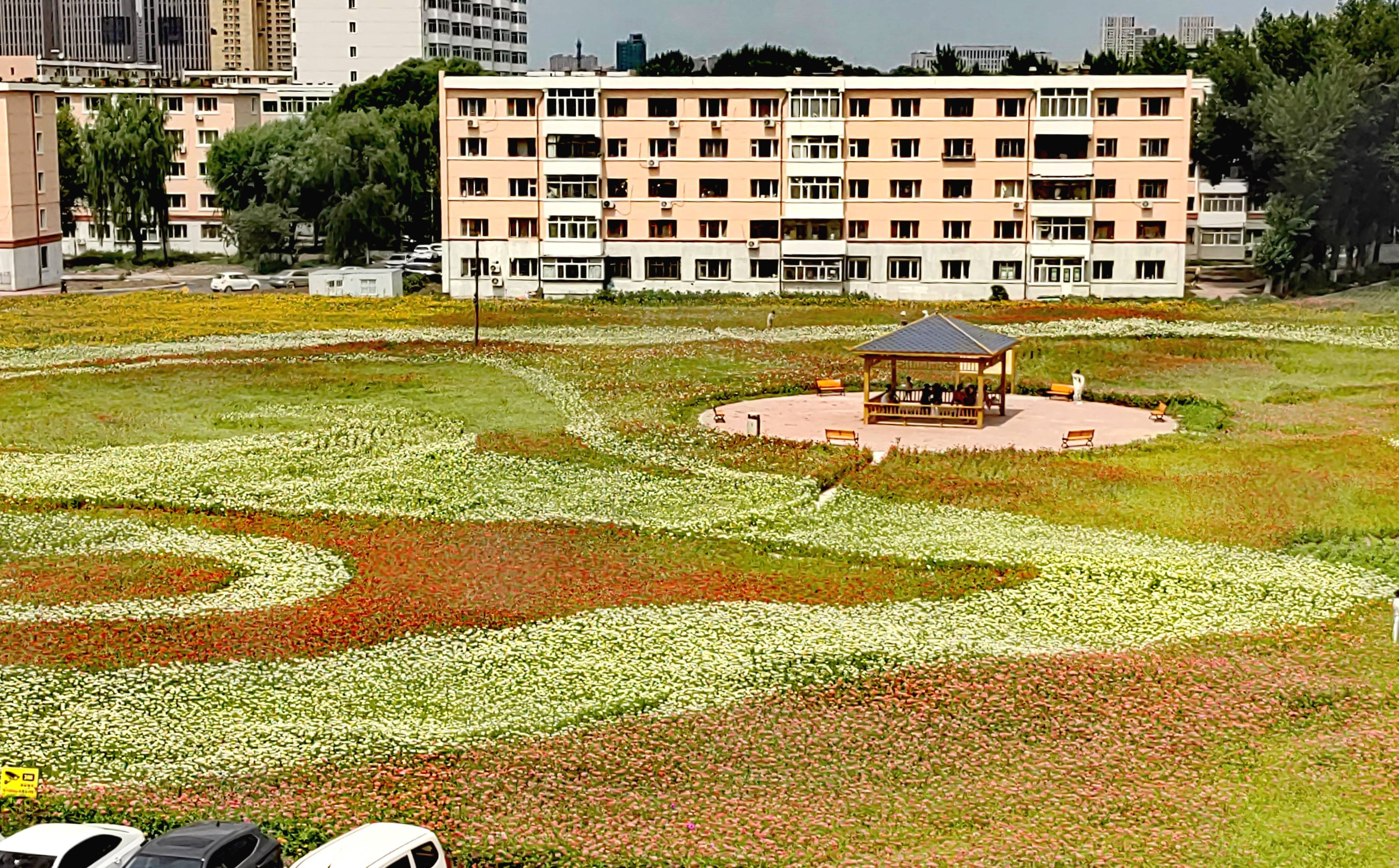 哈尔滨新增(哈尔滨新增员工社保办理步骤) 哈尔滨新增(哈尔滨新增员工社保办理步骤)