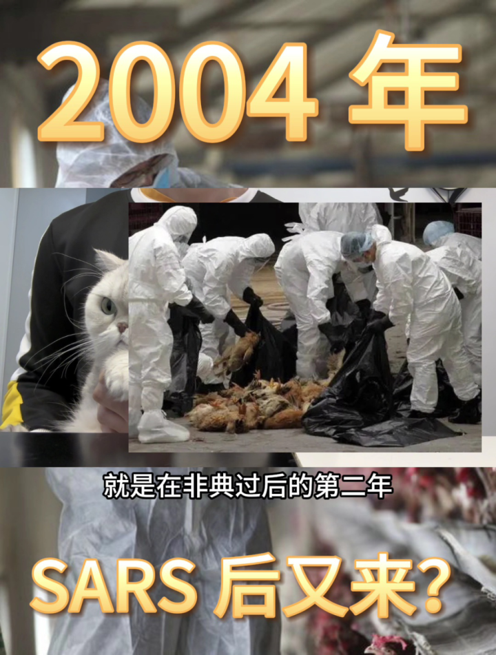 2004年sars死了多少人(2004年sars病毒) 2004年sars死了多少人(2004年sars病毒)