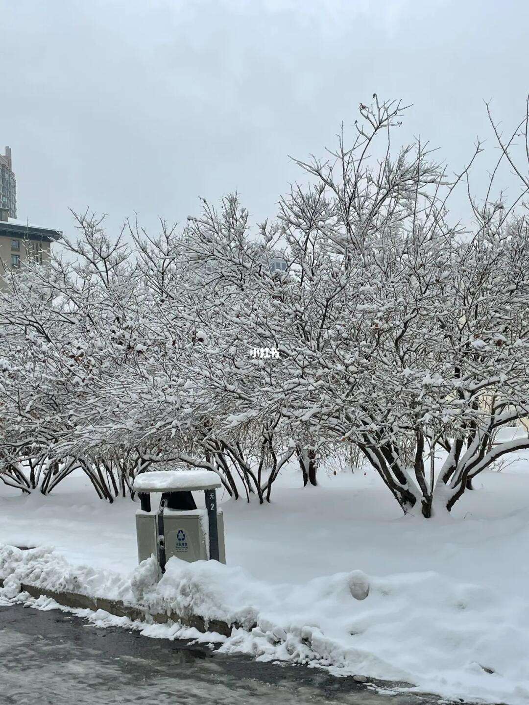 哈尔滨封城了是真的吗(哈尔滨封城最新通告)