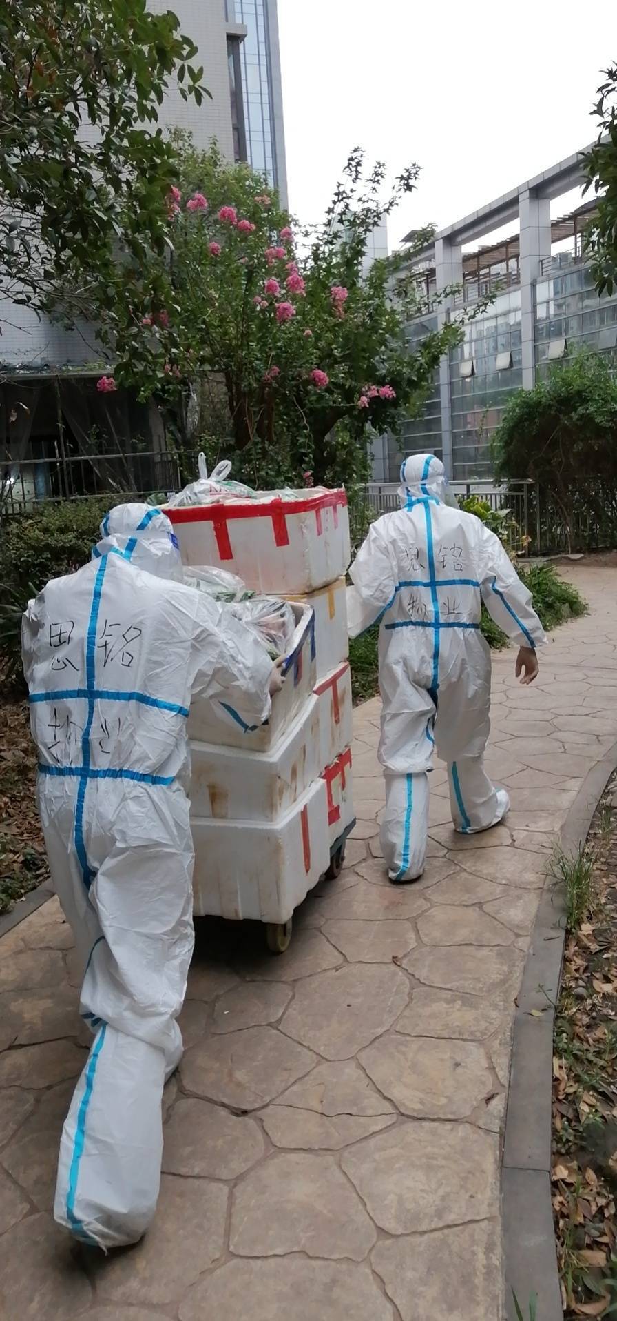 四川实时疫情(四川实时疫情分布)