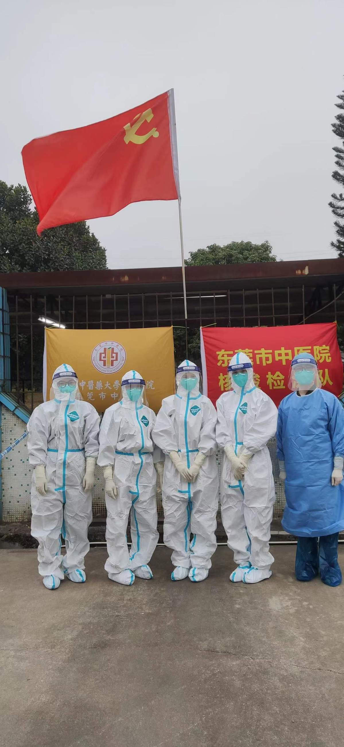 东莞疫情(东莞疫情蚊子)