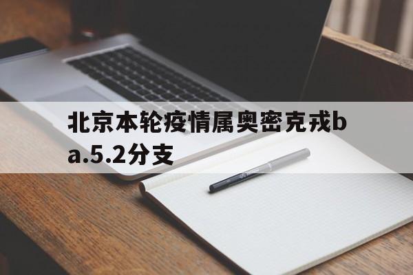 北京本轮疫情属奥密克戎ba.5.2分支(北京疫情奥北)